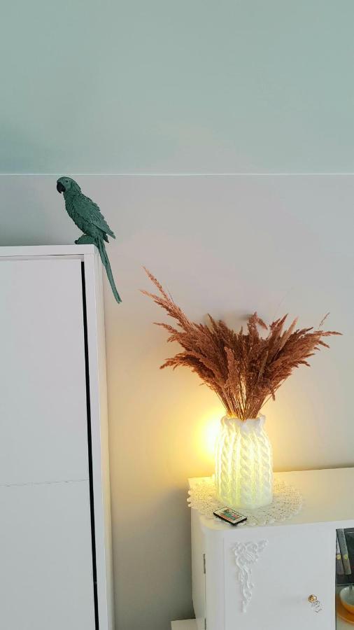 Just 4 Soul Apartment Liepaja