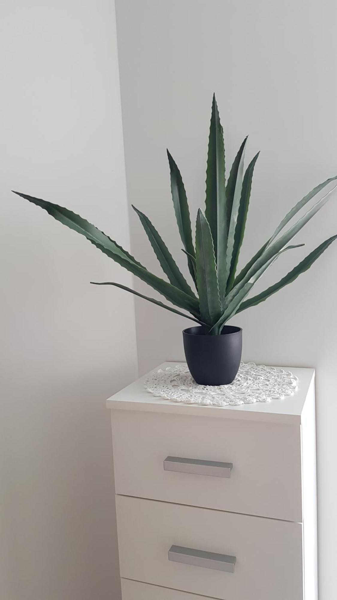 Apartment Just 4 Soul Liepaja